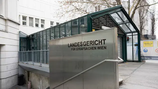 Пластмассовые зубы и два укуса: пьяная украинка напала на полицейских в Вене